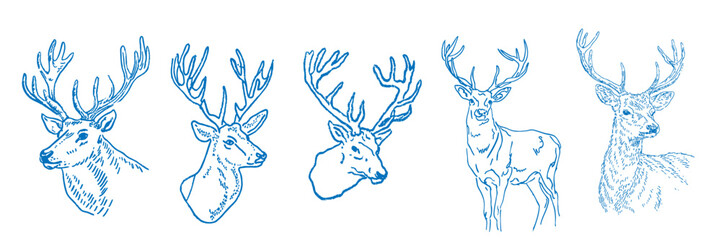 Hand drawn reindeer illustrations for festive christmas decoration and seasonal winter design projects
