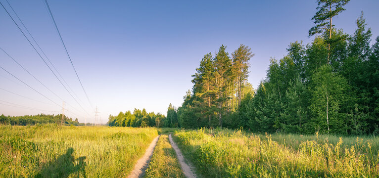 Road runs through a field of grass and trees