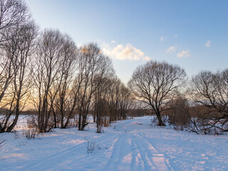 Snowy field with trees and a road