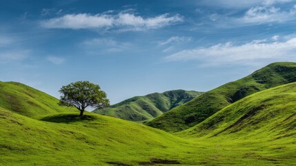 A lone tree stands in a grassy field with a clear blue sky above. The scene is peaceful and serene, with the tree providing a sense of calm and tranquility. The vast open space