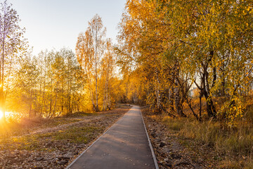Path through a forest with trees in autumn colors