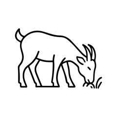 goat eating grass vector line icon on a white background
Vector line icon on a white background