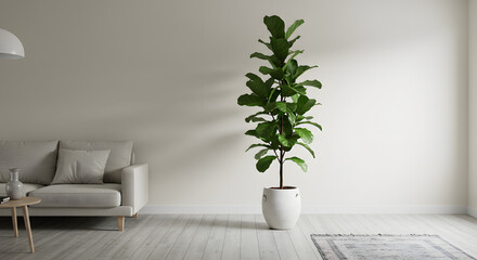 A tall fiddleleaf fig tree in a white pot enhances a bright, minimalist living room, featuring a light grey sofa and wooden floor