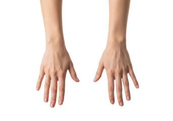 ultra-detailed macro photography of mid-20s female hands, anterior and posterior views displayed separately, razor-sharp focus on a clean white background. Technical illustration concept