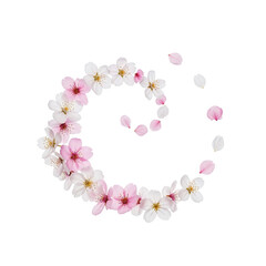 Delicate Cherry Blossoms Swirl Arrangement on Soft Pink Background