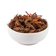 Obraz premium Chapulines (roasted grasshoppers – Oaxaca) in small bowl