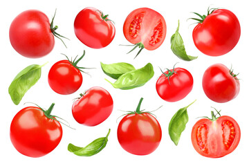 Fresh tomatoes and green basil leaves isolated on white, set