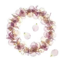 Delicate floral wreath with soft pink and purple petals pastel background