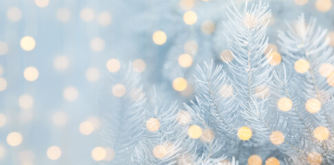 Christmas greeting card with fir tree branches and bokeh lights. Banner design