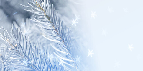 Christmas greeting card with fir tree branches and snowflakes. Banner design