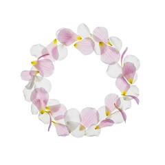 Delicate Orchid Flower Wreath with Pink and White Petals on Soft