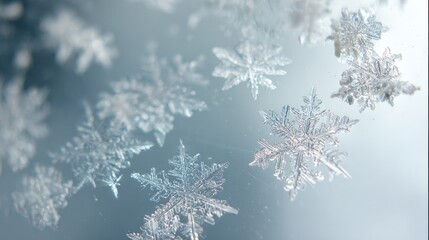 Delicate snowflakes sparkle against a frosty blue backdrop, a beautiful reminder of winter's magic and the serene beauty of nature's artistry