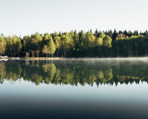 Obraz premium Mirror-Smooth Lake Reflects Serene Forest on Sunny Day for Peaceful Nature Scene.