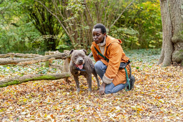 Dark-skinned woman kneeling beside gray Staffordshire dog during playful autumn break in forest