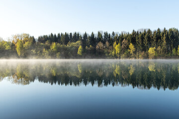 Mirror-Smooth Lake Reflects Serene Forest on Sunny Day for Peaceful Nature Scene.
