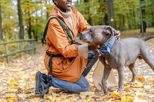 Smiling Black woman petting strong grey dog during autumn park walk