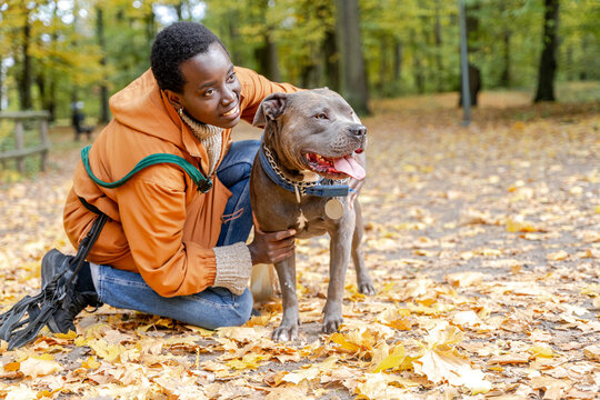 Smiling young woman with pit bull type dog during autumn walk - Powered by Adobe