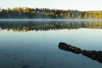 Mirror-Smooth Lake Reflects Serene Forest on Sunny Day for Peaceful Nature Scene.