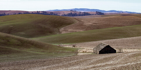 Photo of rural American farm and ranch land with old wooden barn in Idaho featuring plowed fields and sprouting crops