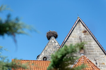 Majestic Stork Nest Perched Atop Historic Church Steeple Under Clear Blue Sky.