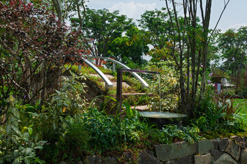 Garden scene with stone stairs, green plants and a shaded structure. Useful for architecture presentations, gardening guides and nature-themed media.