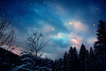 Starry night sky over trees silhouette, winter background.