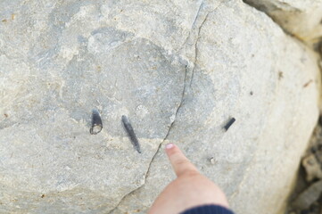 Child's hand pointing at fossilized belemnites in a rock in Peniche, Portugal
