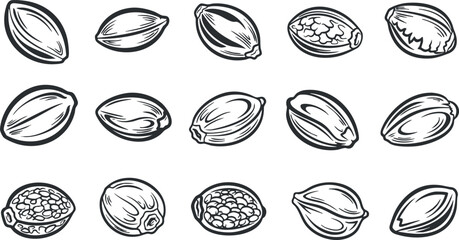 Stylized vector illustration of various nuts and seeds in an outline style, perfect for food-related designs and packaging.