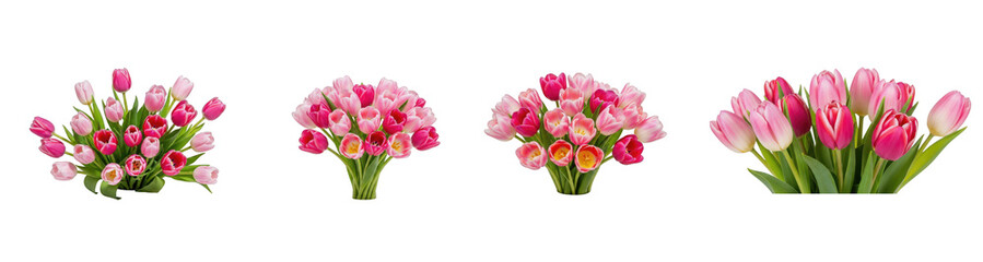 Set of Three Christmas Tree Pine or Fir Spruce Branches Elements Isolated PNG Oil Paint