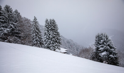 Obraz premium winter landscape in the forest, Switzerland