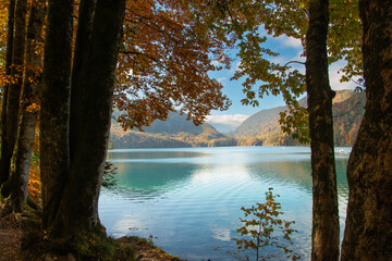 Lago Alpsee no Outono &ndash; Paisagem de &Aacute;guas Cristalinas em F&uuml;ssen, Alemanha