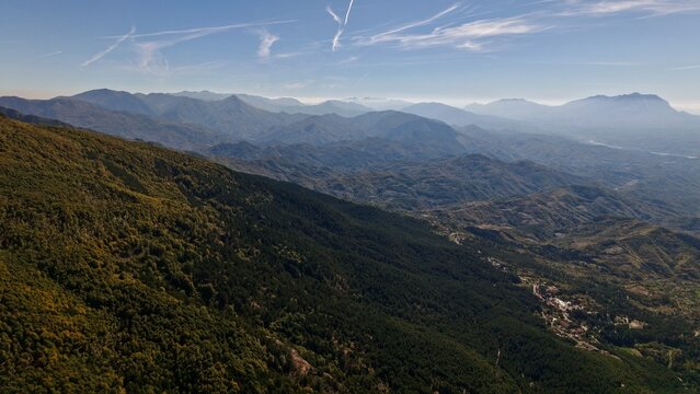 Forest paths and quiet thoughts 🍃🌲