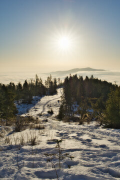 Aerial view of snow-covered Slubica mountain with a path leading through dark green trees towards a misty horizon under a bright sun, Spisska nova Ves, Kosicky kraj, Slovakia.