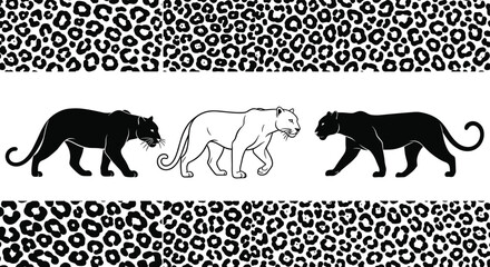 Leopard and panther silhouette, vector illustration of walking big cats, seamless animal skin pattern, black and white jungle predator, wildlife design elements, isolated background.