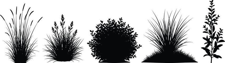 Black silhouette collection of diverse plants and grasses on white background bush