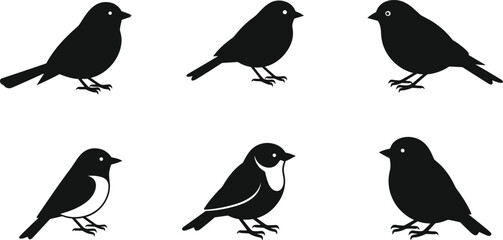 Six black and white bird silhouettes on white background avian