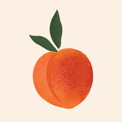 Peach Ripe delicious apricot illustration