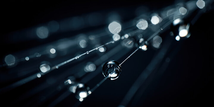 Dramatic macro shot of dew drops on spider web over dark background