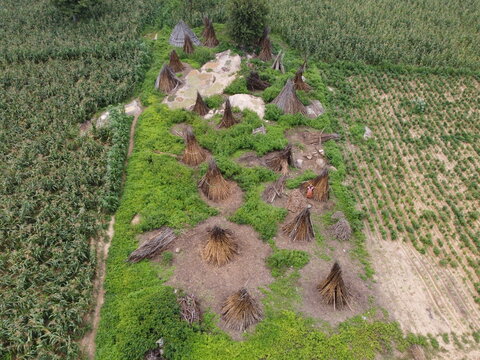 Aerial view of a cluster of thatched roof structures amidst a field of green crops creating a rustic and textured landscape, Zaria, Kaduna, Nigeria.