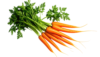 A vibrant bunch of fresh carrots with lush green tops against a transparent black background, showcasing natural produce