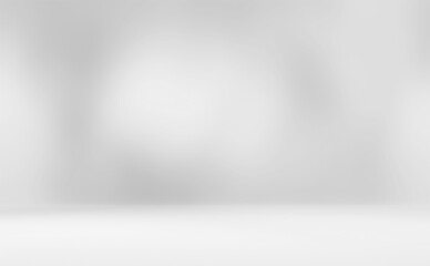 Empty gray room studio with shadow overlay effect. Cosmetic fashion beauty showroom. Minimal mock up interior retro vintage. Sunlight shining through window.