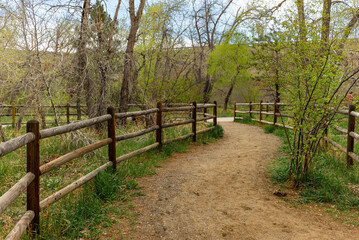 Peaceful Nature Trail with Wooden Fence in Spring