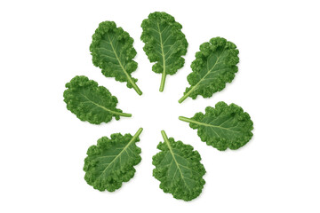 Fresh green kale leaves arranged in a circle, representing healthy food, natural ingredients, and a vegan diet, transparent background