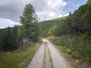 Rila mountain near Granchar Lake, Bulgaria