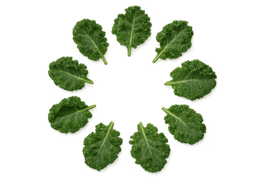 Fresh green kale leaves creating a circular frame, healthy vegetable food concept with transparent background