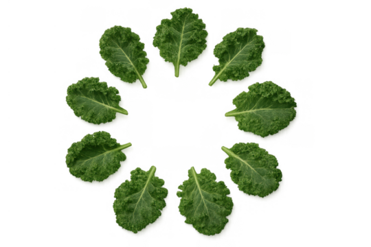 Fresh green kale leaves creating a circular frame, healthy vegetable food concept with transparent background - Powered by Adobe