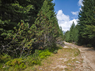 Rila mountain near Granchar Lake, Bulgaria
