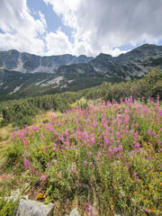 Obraz premium Rila mountain near Granchar Lake, Bulgaria