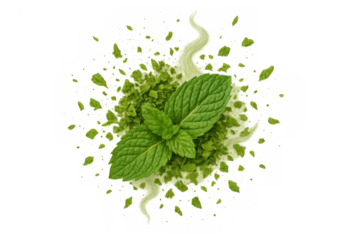 Fresh mint leaves with matcha powder exploding on an invisible surface, creating a vibrant herbal splash, transparent background