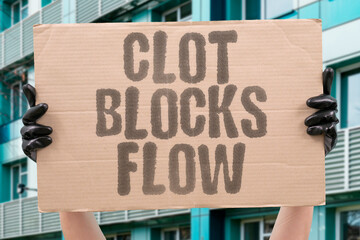 "Clot Blocks Flow" A sudden clot can block vital blood flow. CLOT. BLOCK. FLOW. BRAIN. INJURY.